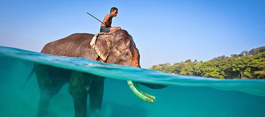 Barefoot, Havelock, Andaman Island [India]