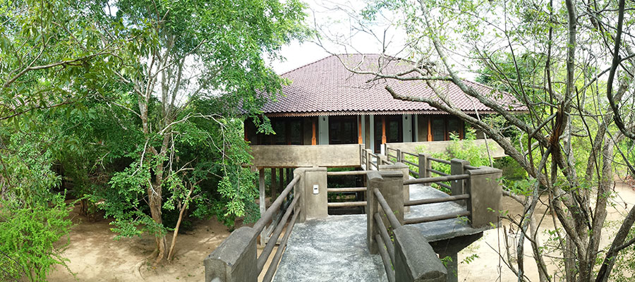 Forest Rock Garden, Anuradhapura [Sri Lanka]