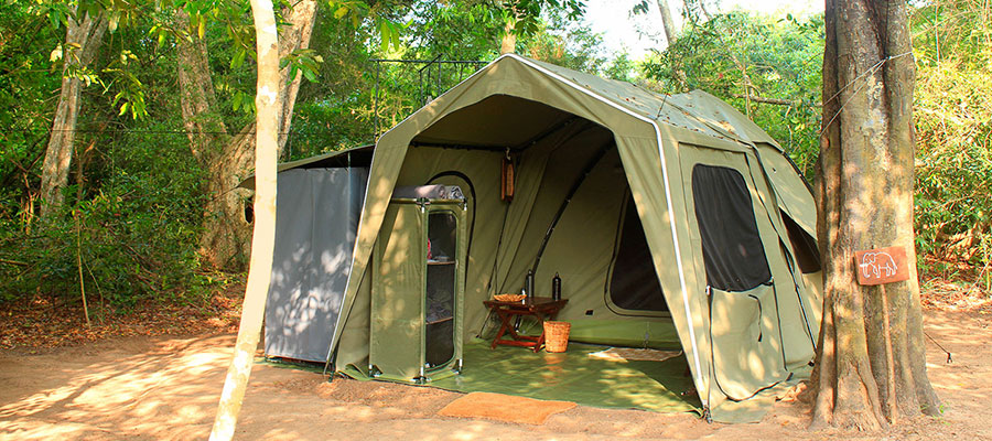 Noel Rodrigos Leopard Safaris, Yala [Sri Lanka]