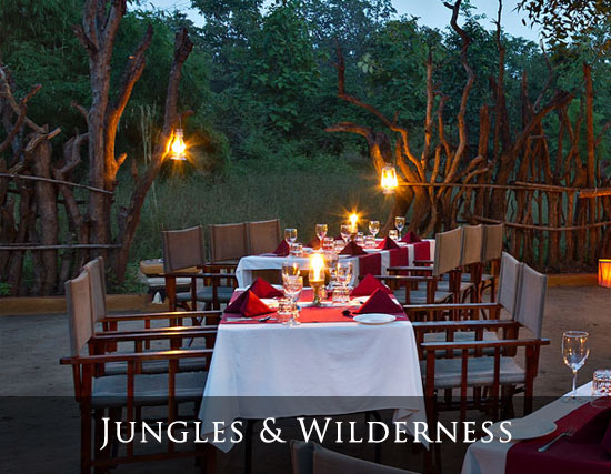 Jungles & Wilderness